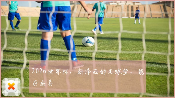 2026世界杯，新泽西的足球梦，能否成真